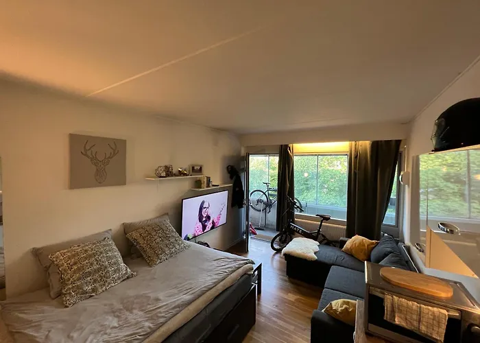 Cozy Studio Apartment - Cph Airport!