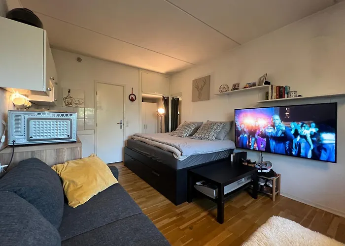 Cozy Studio Apartment - Cph Airport!